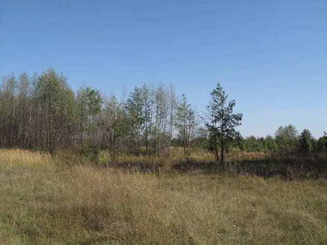 Занедбали: на Волині в підприємства забрали орендовану ділянку
