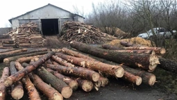 У Ківерцівському районі поліція виявила незаконну деревину (відео)