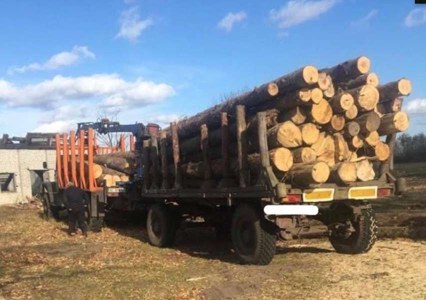 Волинські правоохоронці виявили незаконний деревообробний цех (фото, відео)