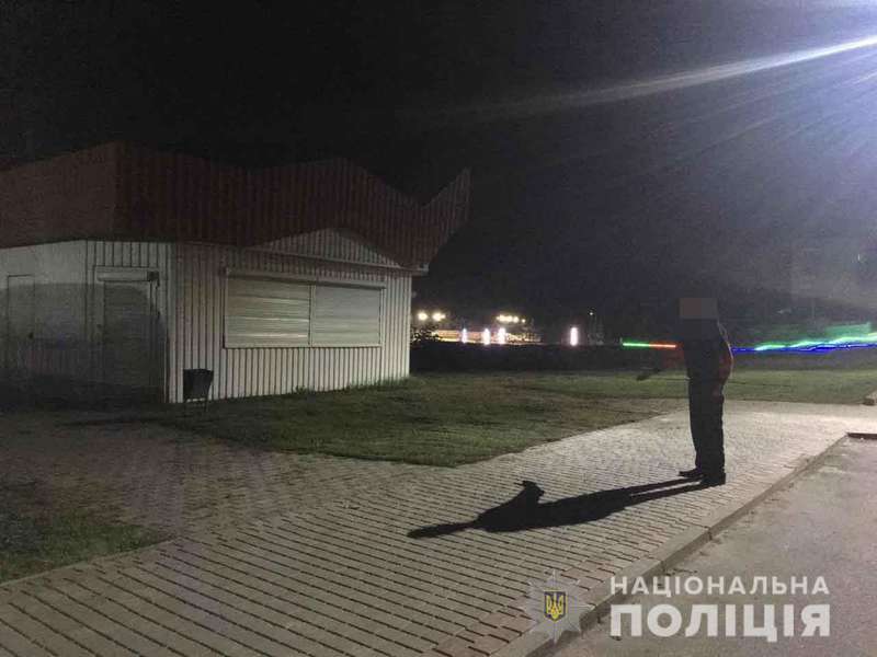 Вдарив вогнегасником і пограбував: у Володимирі затримали розбійника (фото)