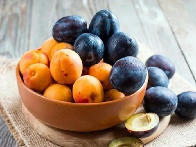 Абрикоси і сливи: скільки коштують літні фрукти на луцькому базарі (відео)