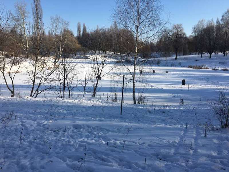 Зимовий парк імені 900-річчя у Луцьку (фото)