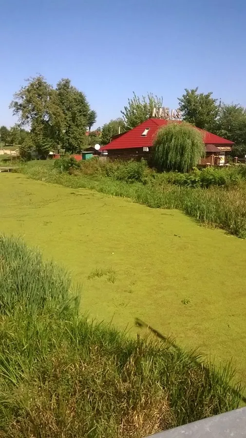 Річка Турія у Ковелі перетворюється на болото  (фото)