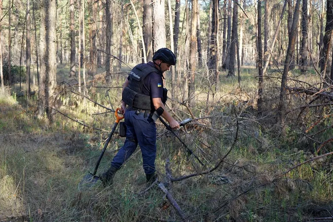 Як сапери з Волині розміновують ліс на Донеччині (фото)