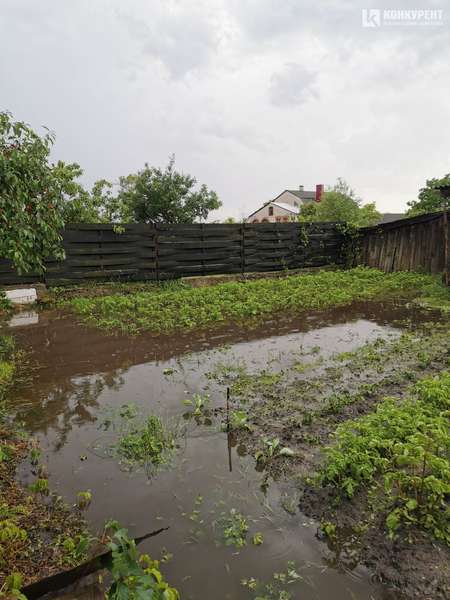 «Пливуть городи»: потужна злива з градом накрила Любомль (фото, відео)