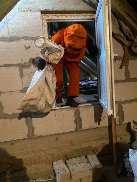 Викликали рятувальників: у будинках волинян оселилися шершні (фото)