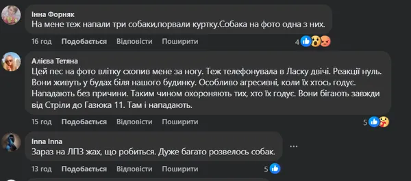 У Луцьку на ЛПЗ зграя собак покусала дитину – мешканці б'ють на сполох (фото)