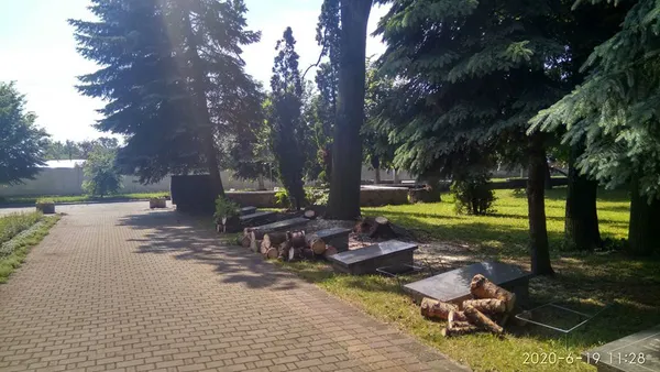 У Ківерцях буревій повалив дерева (фото)