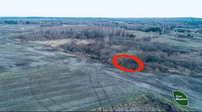 На Ковельщині троє браконьєрів вбили самця козулі (фото)