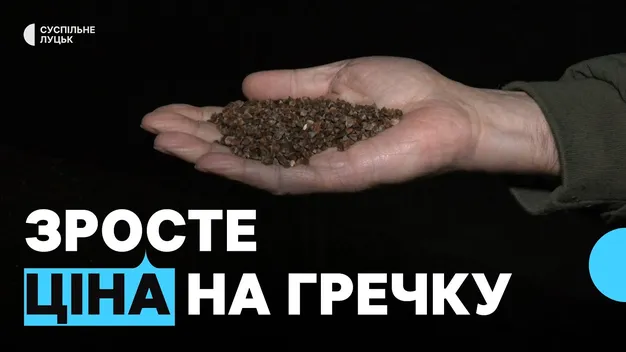 Волинян попередили про здорожчання гречки: що кажуть фахівці (відео)