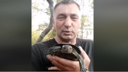 На допомогу волинським тероборонівцям прийшли бойові черепахи (відео)