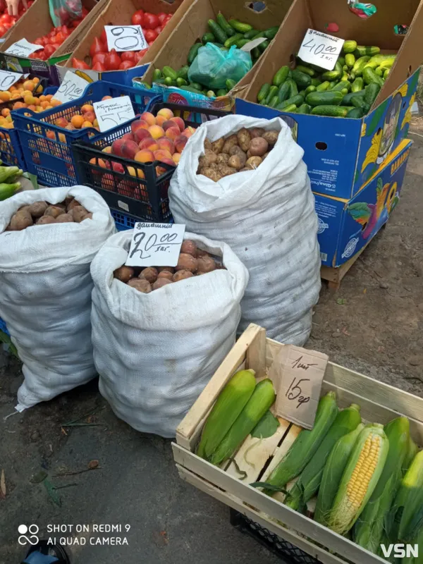 Все стрімко дешевшає: яка ціна на молоду кукурудзу, картоплю, огірки та кабачки на луцькому ринку (фото)