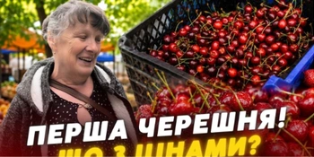 За ціною м'яса: скільки коштує черешня на ринку в Луцьку та коли подешевшає (відео)