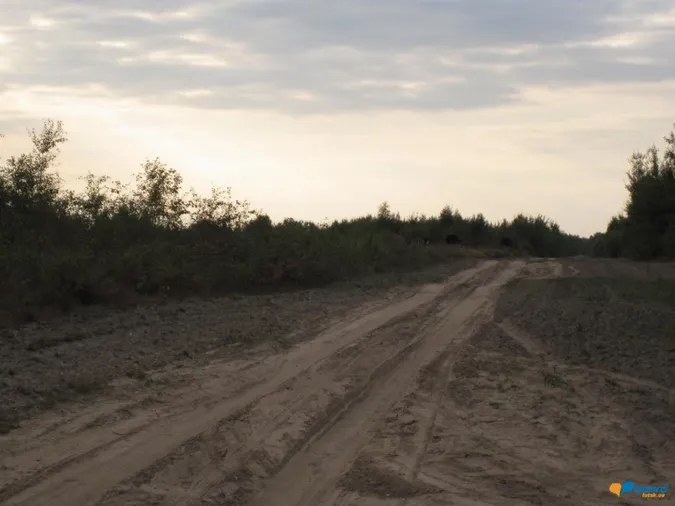 На Волині лісники і військові не можуть поділити землі 