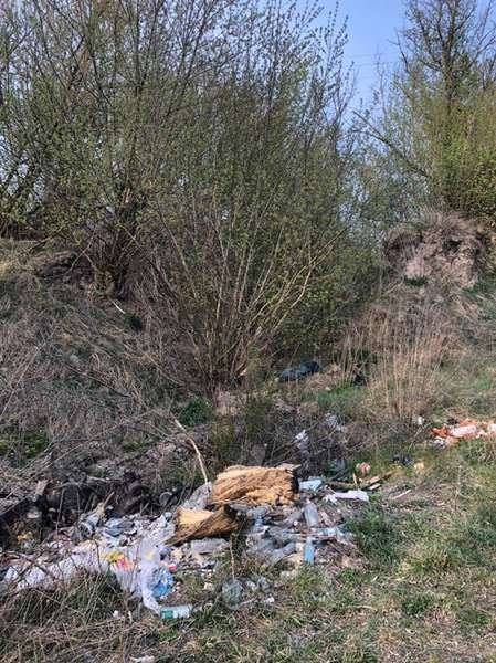 Будівельний непотріб і тушка свині: біля Луцька – звалище сміття (фото)