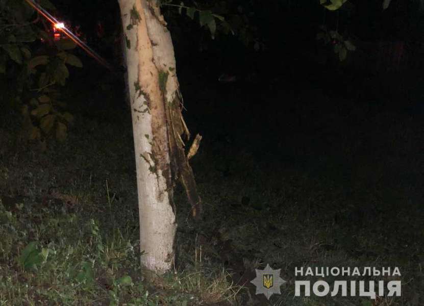 У Луцькому районі мотоцикліст не пережив зіткнення з деревом (фото)