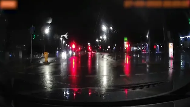 Луцькі песики переходять дорогу на зелене (відео)