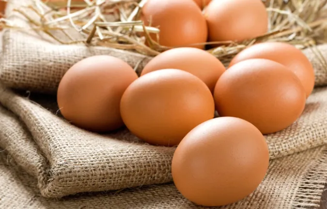 Спалаху пташинного грипу на Волині не зафіксовано, – Держпродспоживслужба