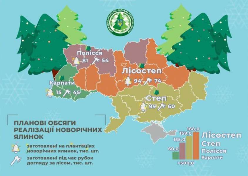 В Україні на Новий рік готують пів мільйона ялинок, з яких 60 тисяч – на Волині