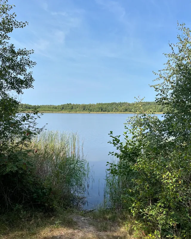 У воді – багато мінералів: на Волині є озеро, в якому повно риби (фото)