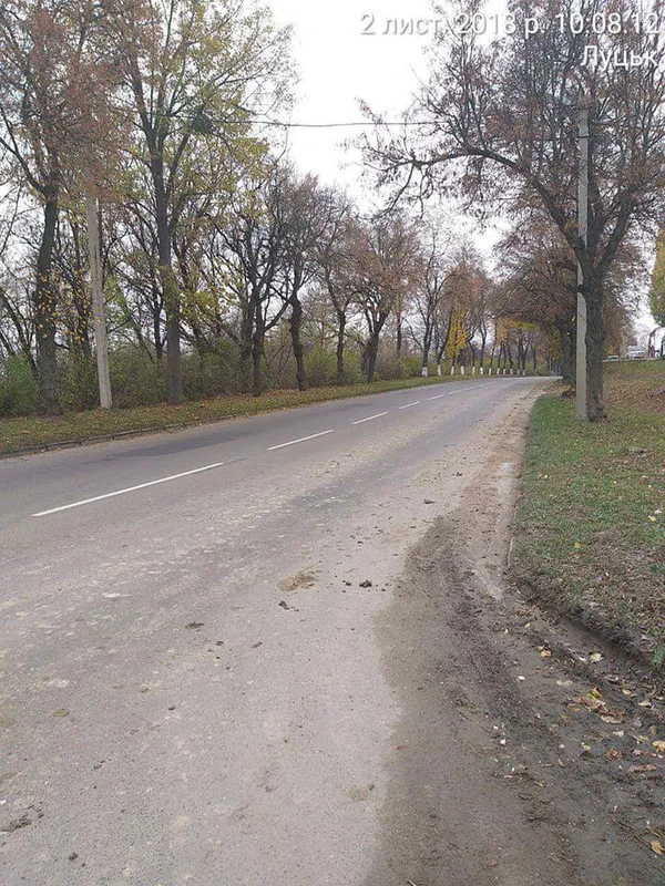 У Луцьку будівельників-нечупар покарали «брудною роботою» (фото)