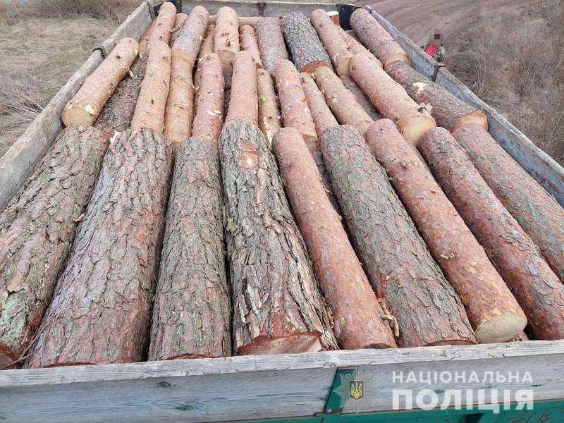 Волинянин вкрав цілу вантажівку деревини, заготовленої лісівниками (фото, відео)