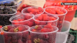 Скільки коштує малина та вишня на луцькому ринку (відео)