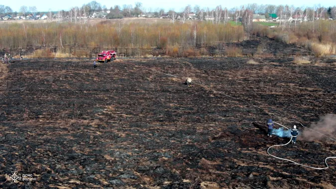 Трава, чагарники, торфовище: за добу на Волині вигоріло 40 гектарів землі (фото)