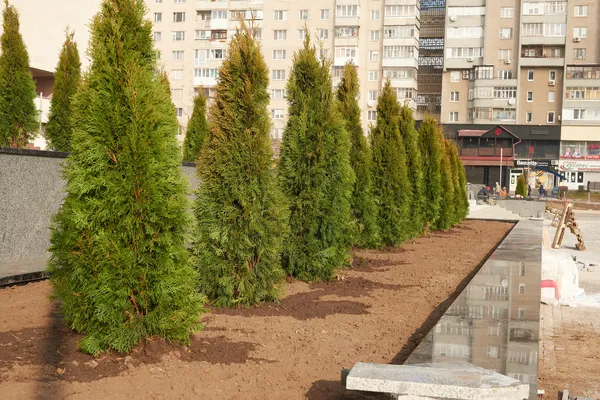 Ще тиждень: у Луцьку завершують облаштування площі перед РАЦСом (фото, відео)