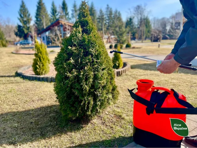 🌿Сезон шашликів на природі стартував: як чепурять пункти відпочинку на Волині (фото)