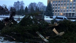 Показали, як падала новорічна ялинка в Нововолинську (відео)