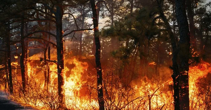 На Волині – знову надзвичайна ситуація через пожежну небезпеку