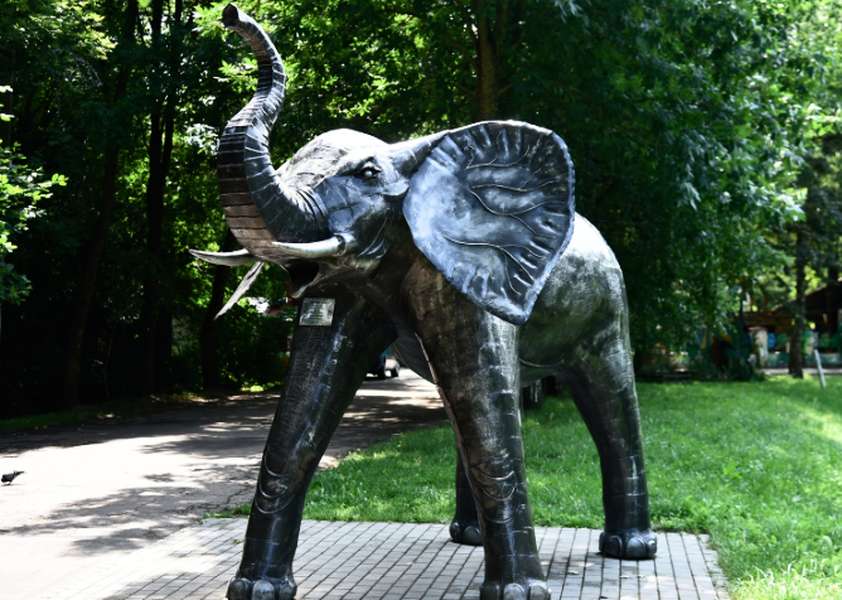 У Луцькому зоопарку можна сфотографуватися зі слоном (фото)