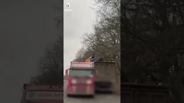 На Волині зловили VOLVO із зайвим вантажем (відео)