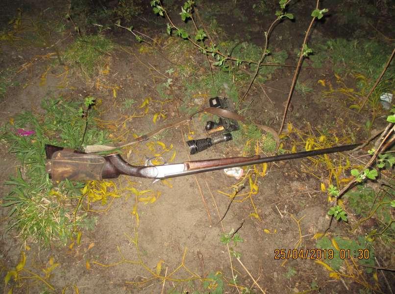 У маневицькому лісі браконьєри вбили козулю (фото 18+)