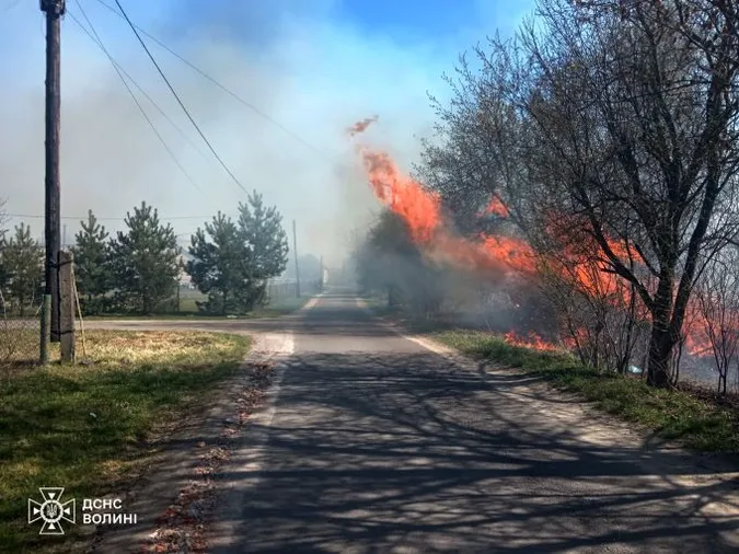 Вогонь підходив до будинків і доріг: на Волині за два дні вигоріло понад 30 га трави і чагарників (фото)