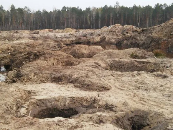 На Волині через бурштин постраждали 16 гектарів лісу