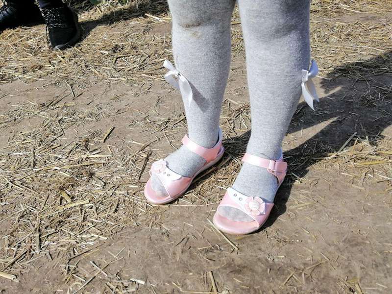 Показали найкрутіше взуття фестивалю тюльпанів на Волині (фото)