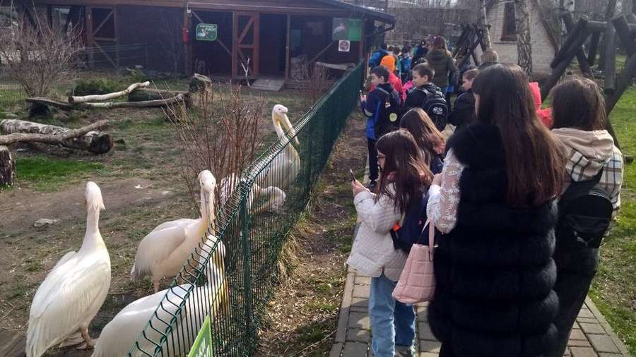У Луцькому зоопарку знову проводять екскурсії (фото, відео)