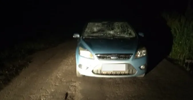 Під Луцьком п'яний таксист збив двох людей (відео)