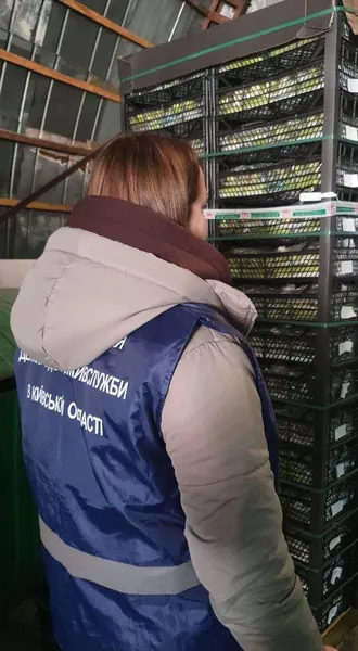 В Україну завезли небезпечні кабачки з Туреччини (фото)
