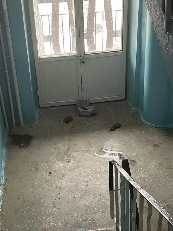Крадуть і справляють природні потреби: в під'їзді луцької багатоповерхівки «оселилися» безхатьки (фото)