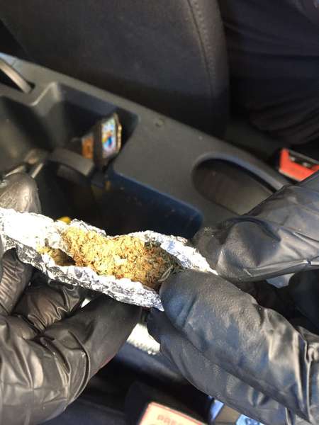 В «Устилузі» службовий пес знайшов марихуану в авто поляка (відео)
