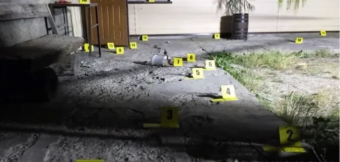 Жінка на Волині кинула гранату у двір, щоб налякати собаку: як її покарали