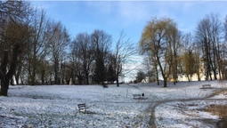 Сніг у березні: фото луцького парку