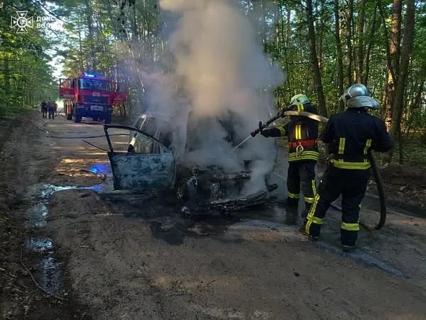 На Камінь-Каширщині посеред лісу горів автомобіль (фото)