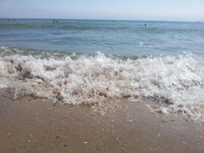 Пляшки, пакети, цигарки: результати дослідження Чорного моря