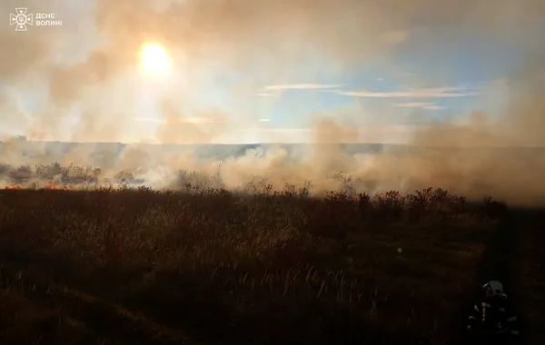 У Луцькому районі невідомі підпалили поле