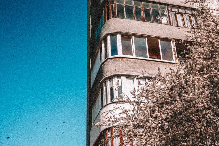 Цвіте і пахне: весна-2020 у Луцьку  (фото)