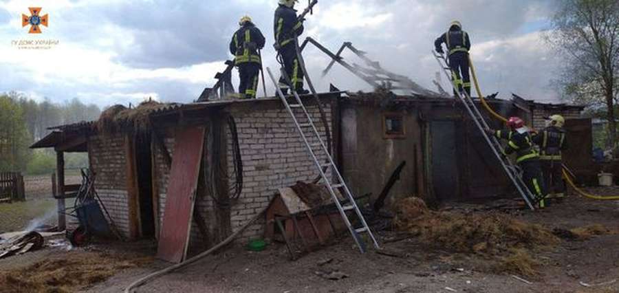 Отримав опіки: в Любомлі з пожежі врятували пенсіонера (фото)